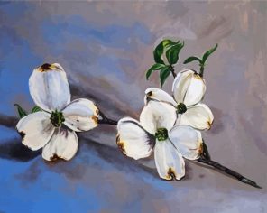 Dogwood Blossoms paint by numbers