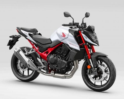 Franchement Hornet paint by numbers