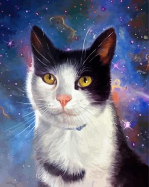 Space Cat Illustration paint by numbers