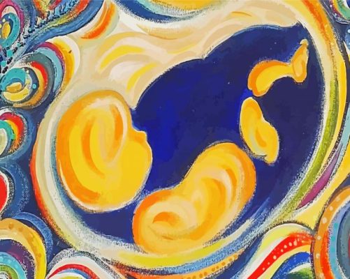 Abstract Fetus paint by numbers