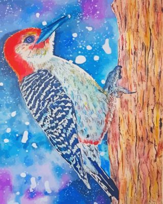 Red Bellied Woodpecker paint by numbers