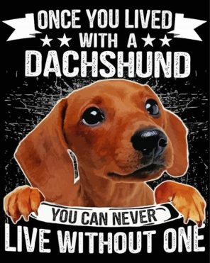 Dachshnd Dog Quote paint by numbers