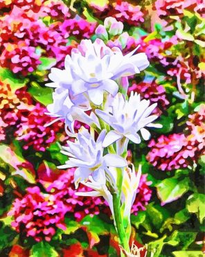 Aesthetic Tuberose paint by numbers