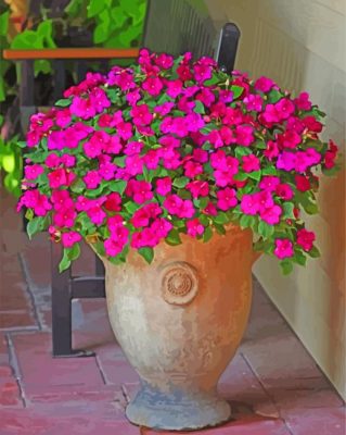Impatiens Flowers paint by numbers