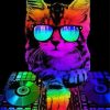 Colorful Dj Cat paint by numbers