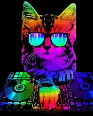 Colorful Dj Cat paint by numbers