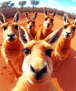 Australian Kangaroos paint by numbers
