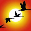 Geese Flying Within Sunset Silhouette