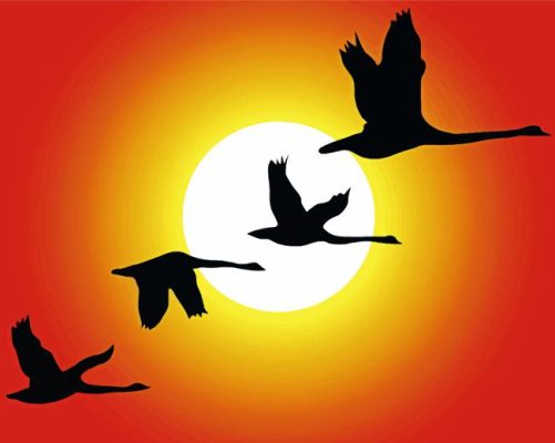 Geese Flying Within Sunset Silhouette 
