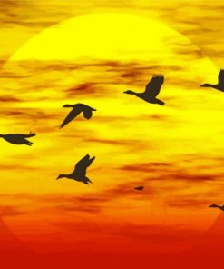 Geese Flying Within Sunset paint by numbers
