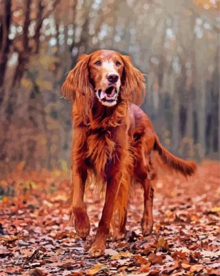 Irish Setter Dog In Fall Leaves paint by numbers