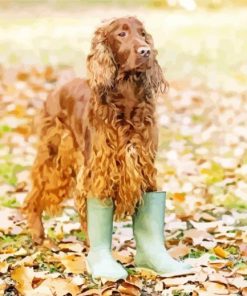 Irish Setter In Fall Leaves Paint By Numbers