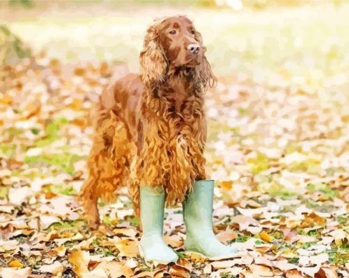Irish Setter In Fall Leaves paint by numbers