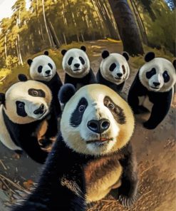 Pandas Selfie paint by numbers