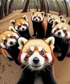 Red Pandas Selfie paint by numbers