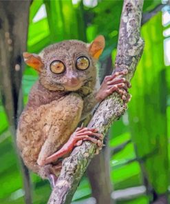 Aesthetic Tarsier Primate paint by numbers