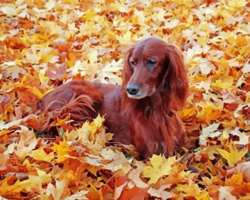Irish Setter Dog paint by numbers