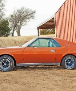 Brown Amx Car paint by numbers