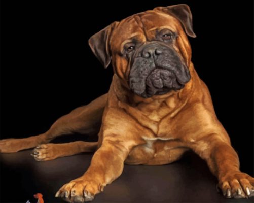 Bullmastiff Dog paint by numbers