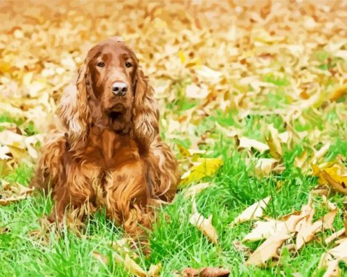 Cute Irish Setter In Fall Leaves paint by numbers