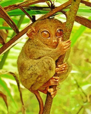Cute Tarsier Primate paint by numbers
