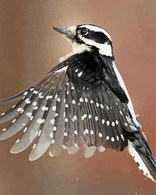 Downy Woodpecker paint by numbers
