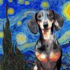 Starry Night Dachshund paint by numbers