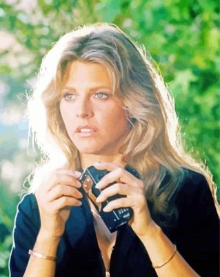 The Bionic Woman paint by numbers