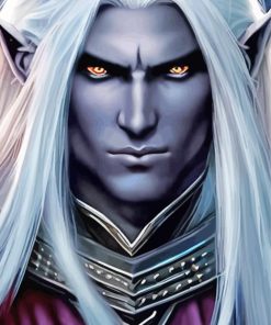 Drizzt Dourden Dungeons And Dragons paint by numbers
