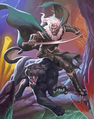 Drizzt Dourden paint by numbers