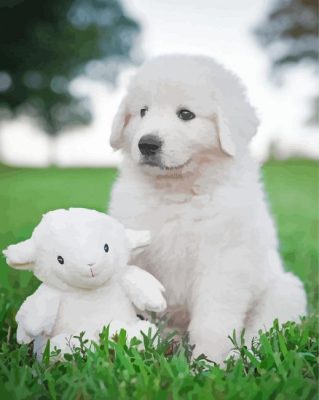 Maremma Sheepdog Puppy With A Stuffie paint by numbers