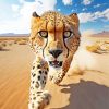 Running Cheetah paint by numbers