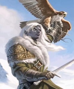 Aesthetic Drizzt Dourden paint by numbers
