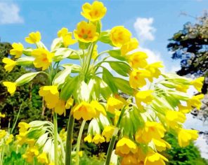 Cowslips Flowers Paint By Numbersw