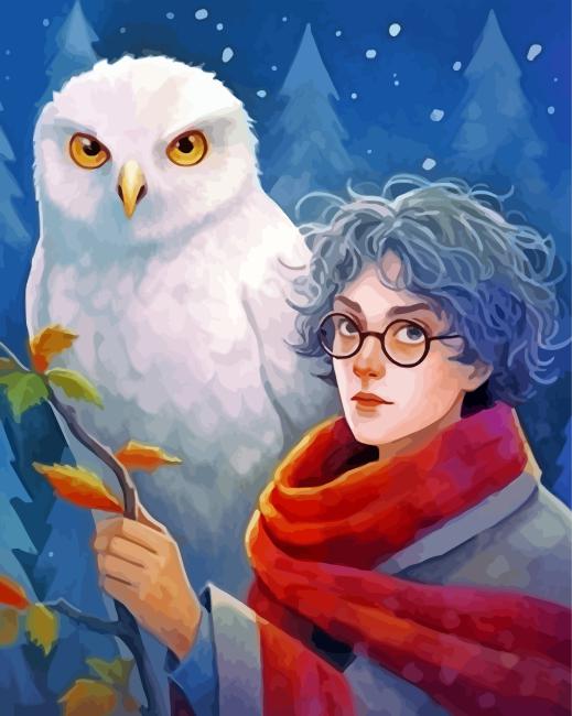 Hedwig And Harry Potter Paint By Numbers Numeral Paint Kit