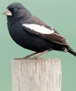 Lark Bunting Paint By Numbers