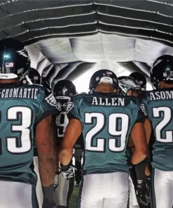 The Philadelphia Eagles Paint By Numbers
