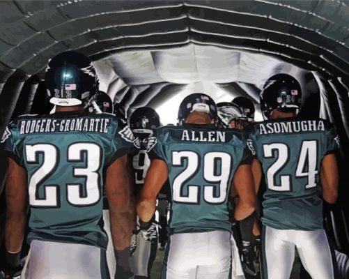 The Philadelphia Eagles Paint By Numbers