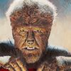 Wolfman Paint By Numbers
