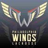 Aesthetic Philadelphia Wings Paint By Numbers