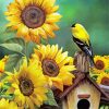 Goldfinch And Sunflowers Paint By Numbers