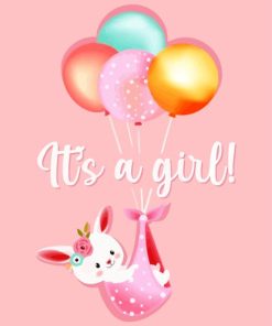 It is a Girl Paint By Numbers