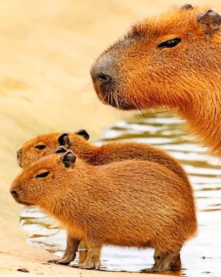 Cute Capybaras Paint By Numbers 