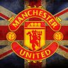 Manchester United Logo Paint By Numbers