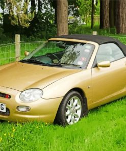 MGF Car Paint By Numbers