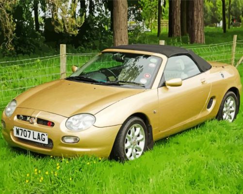 MGF Car Paint By Numbers