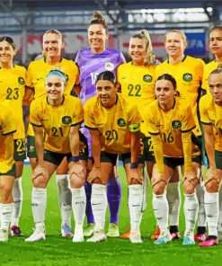 Matildas Soccer Team Paint by numbers - Numeral Paint Kit