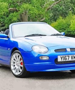 Blue MGF Paint By Numbers