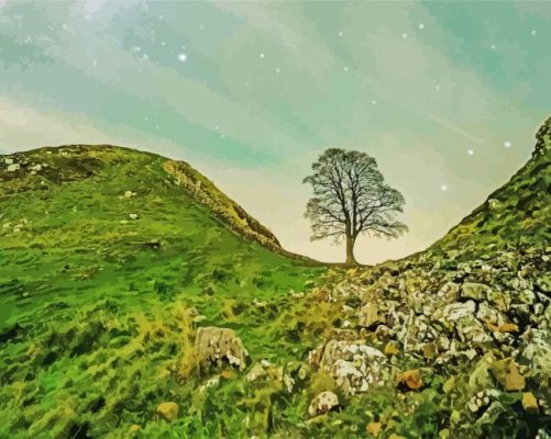 Aesthetic Sycamore Gap Paint By Numbers 
