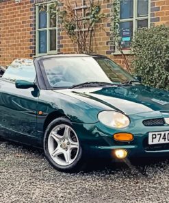 Green MGF Paint By Numbers